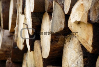 wood piles