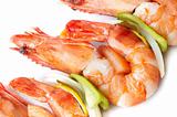 large shrimps with vegeables