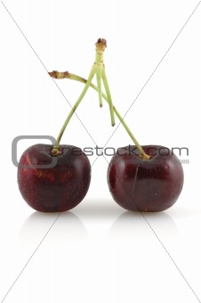 Two cherries with reflection