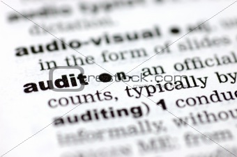 Definition of audit