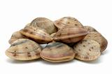 Live clams