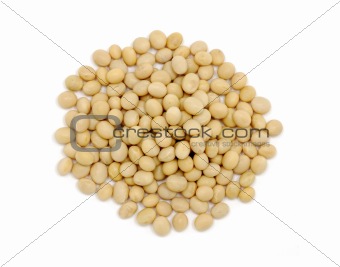 Close up of soy beans