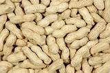 Unshelled peanuts