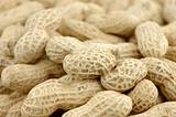 Close up of unshelled peanuts