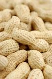 Close up of unshelled peanuts
