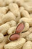 Close up of peanuts