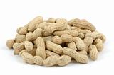 Pile of unshelled peanuts