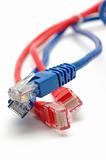 Blue and red network cable plugs