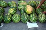 Shopping for melons