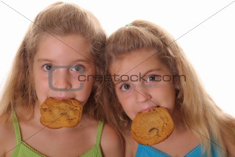 shot of twin cookie monsters