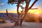 Gran Canyon Sunset