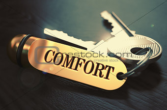 Comfort - Bunch of Keys with Text on Golden Keychain.