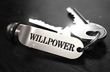 Willpower Concept. Keys with Keyring.