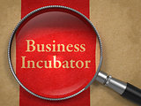 Business Incubator through Magnifying Glass.