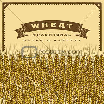 Retro wheat harvest card