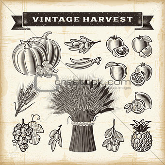 Vintage harvest set