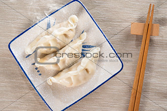 Popular Chinese Dish Dumplings