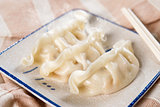 Popular Chinese Meal Dumplings