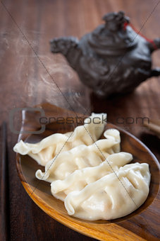 Popular Chinese Gourmet Dumplings