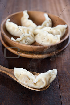 Delicious Dumplings
