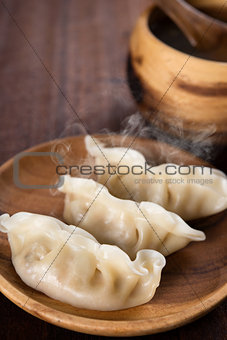 Delicious Chinese Cuisine Dumplings