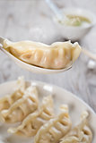 Asian Chinese cuisine dumplings