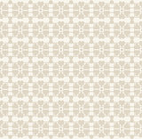 Vector Floral lace vintage rustic seamless pattern