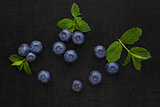 Blueberries isolated on black background. 