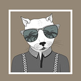 Fashion Illustration of dressed up cat