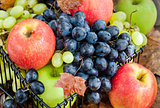 Fresh ripe autumn apples and grapes