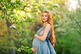 Beautiful pregnant woman in blooming garden