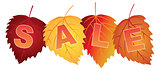 Sale Text on Fall Colors Birch Leaves