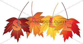 Sale Text on Fall Colors Maple Leaves