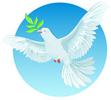 White dove holding green twig. International Peace Day concept