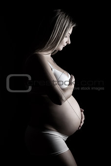 Portrait of a pregnant woman holding