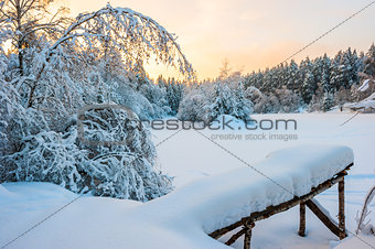 morning shot of winter snow-covered forest