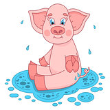 Cute pig in a puddle sits and smile on water puddle