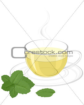 Cup with green tea