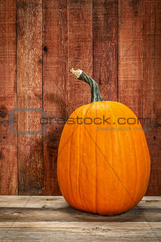 pumpkin and  rustic barn wood