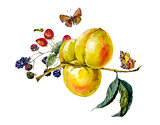 Autumn watercolor vintage card with fruits and butterflies