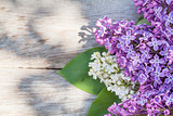 Colorful lilac flowers on garden table