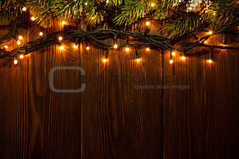 Christmas tree branch and lights