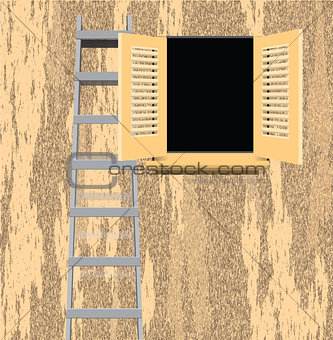 Ladder of old house wall