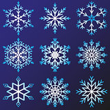 Set of snowflakes vector