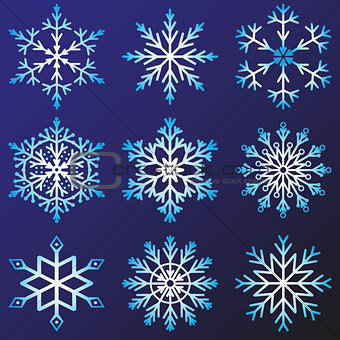 Set of snowflakes vector