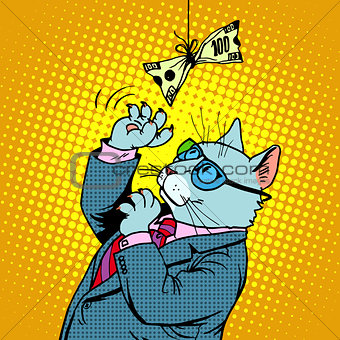 Business cat and money