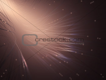 Abstract Background Network