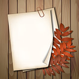 Paper sheet with autumn leaves