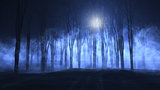 3D foggy spooky forest