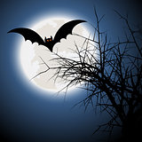 Halloween bat background